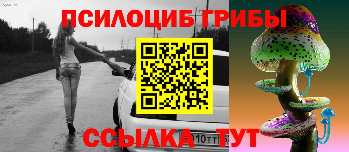 Рузаевка  Псилоцибиновые грибы GOLDEN TEACHER  Вход с VPN  Псилоцибиновые грибы ЛСД 